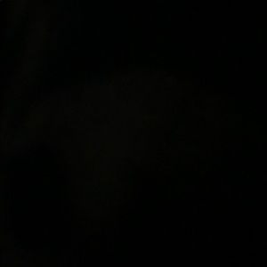 Meet your Posher, Chaz